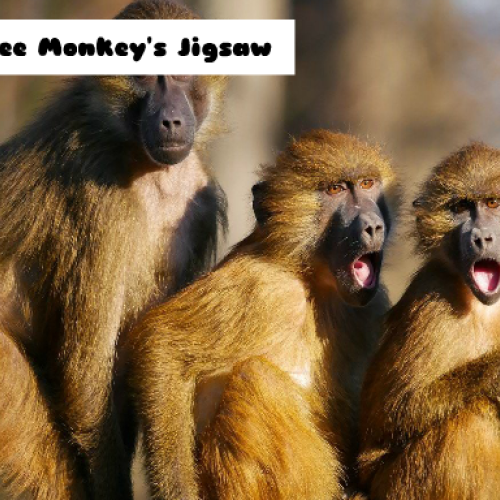 Three Monkey's Jigsaw