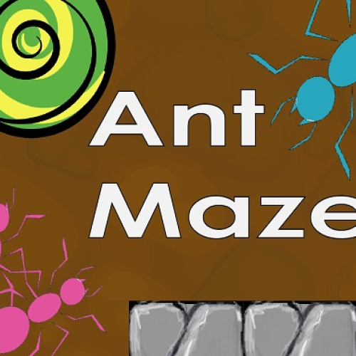 ant maze