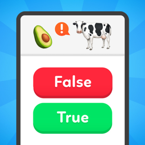 True False - Quiz