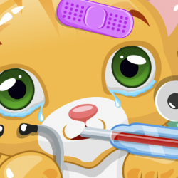 Little Cat Doctor
