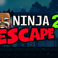 Ninja Escape 2
