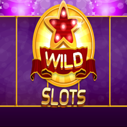 Wild Slot