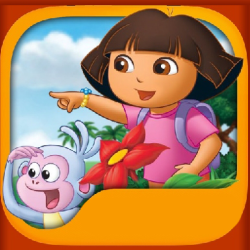 Dora Memory Challenge