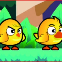 Chicken And Duck Brothers