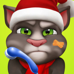 Talking Tom Injfdfury