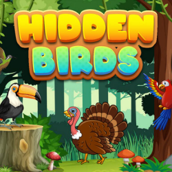Hidden Birds