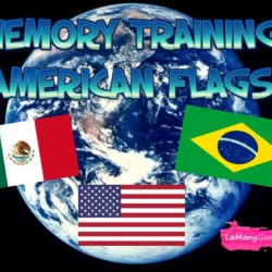 MEMORY TRAINING. AMERICAN FLAGS