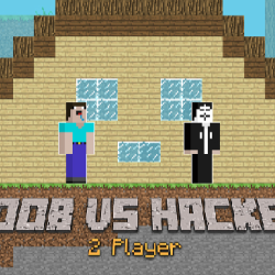 Noob vs Hacker - 2 Player