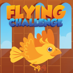 Flying Challenge