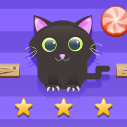 Cut For Cat Challenge