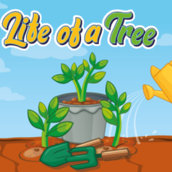 Life of a Tree