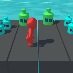 Weight Puzzle 3D