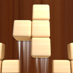 Woodoku Block Puzzle