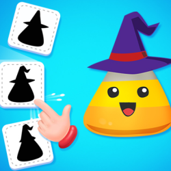 Find The  Correct Shadow