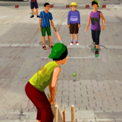 Gully Cricket