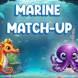 Marine Match Up