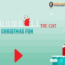 Snowball The Cat Christmas Fun