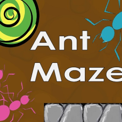 ant maze