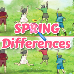 Spring Differences