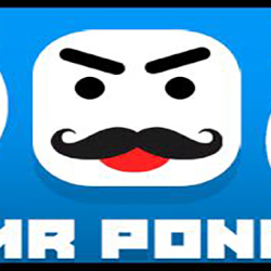 Mr Pong