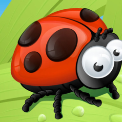 Ladybug Slide