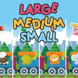 Large Medium Small