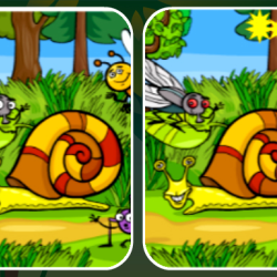 Insects Photo Differences