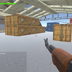 FPS Shooting Game Multiplayer