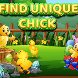 Find Unique Chick