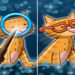 Find Differences For Kid