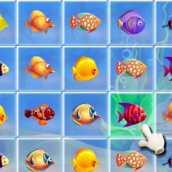 Fishing Puzzles